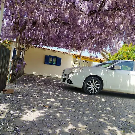 Arome De Grenade * Nea Epidavros